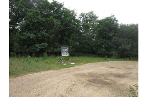 LOT 1 Burritt Ave, Lake Delton, WI 53940