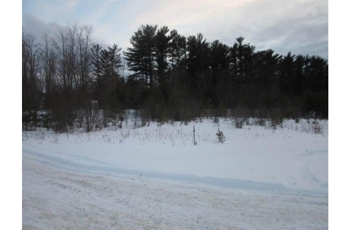 LOT 1 Burritt Ave, Lake Delton, WI 53940