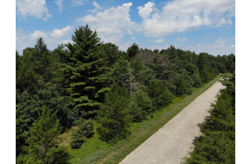 LOT 1 Hwy 80, Necedah, WI 54646