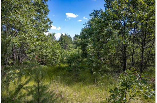 LOT 9 18th St, Necedah, WI 54646