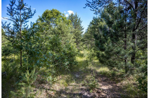 LOT 9 18th St, Necedah, WI 54646