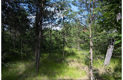 LOT 9 18th St, Necedah, WI 54646