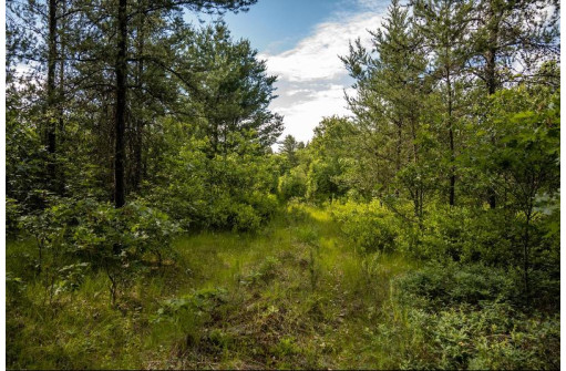 LOT 9 18th St, Necedah, WI 54646