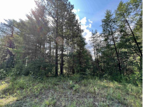 5.5 ACRES Browndeer Dr