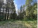 5.5 ACRES Browndeer Dr Arkdale, WI 54613