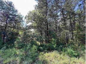 5.5 ACRES Browndeer Dr