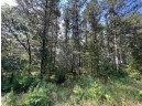 5.5 ACRES Browndeer Dr, Arkdale, WI 54613