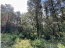 5.5 ACRES Browndeer Dr, Arkdale, WI 54613