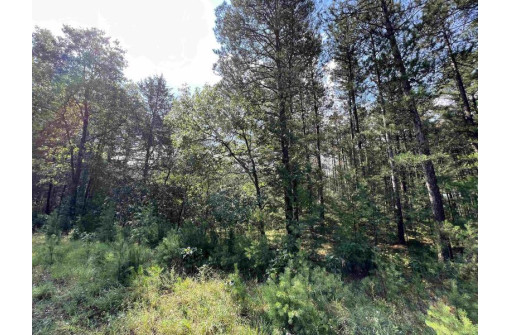 5.5 ACRES Browndeer Dr, Arkdale, WI 54613