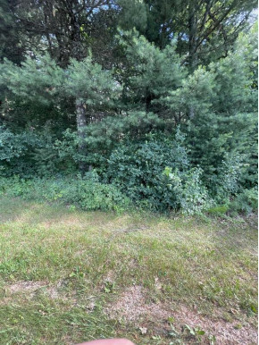 LOT 6 Ne Meadowlane Ct