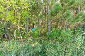 2 LOTS Grand View Shores