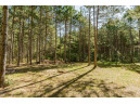 2 LOTS Grand View Shores, Nekoosa, WI 54457