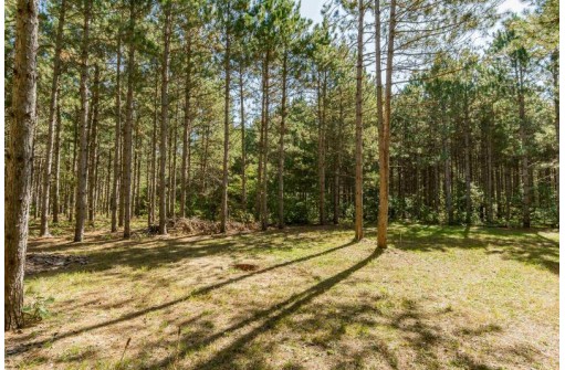 2 LOTS Grand View Shores, Nekoosa, WI 54457