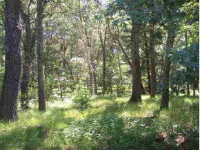 2.98 ACRES W 16th Ct