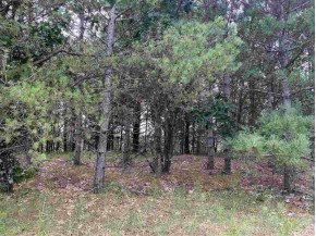 2.98 ACRES W 16th Ct