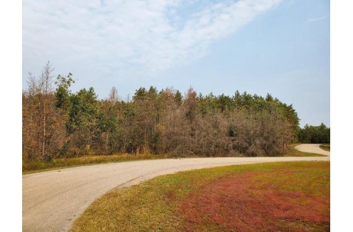 2.98 ACRES W 16th Ct, Arkdale, WI 54613