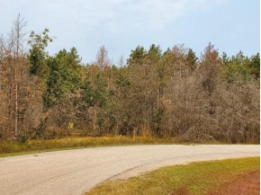 2.98 ACRES W 16th Ct