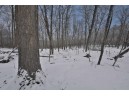 42384 County Road S, Gays Mills, WI 54631