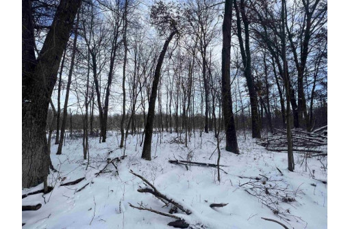 85 ACRES 22nd St, Necedah, WI 54646