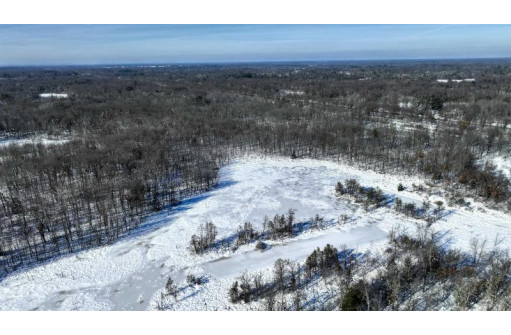 85 ACRES 22nd St, Necedah, WI 54646