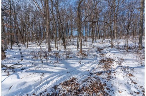 LOT 2 CSM 14601 Tower Line Rd, Marshall, WI 53559