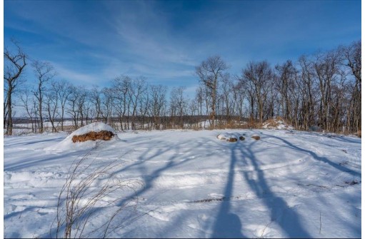 LOT 2 CSM 14601 Tower Line Rd, Marshall, WI 53559