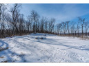 LOT 2 CSM 14601 Tower Line Rd, Marshall, WI 53559