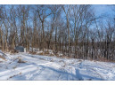 LOT 2 CSM 14601 Tower Line Rd, Marshall, WI 53559