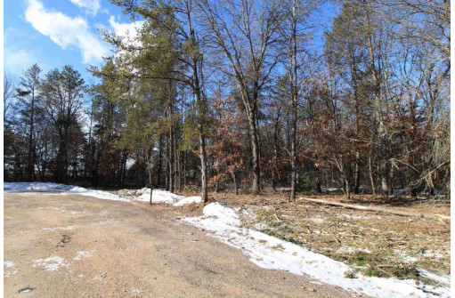 LOT 19 & 20 Siegler Ct, Necedah, WI 54646