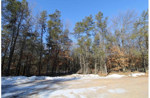 LOT 19 & 20 Siegler Ct, Necedah, WI 54646