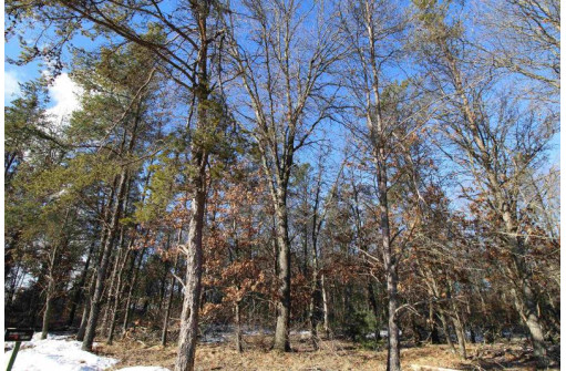 LOT 19 & 20 Siegler Ct, Necedah, WI 54646