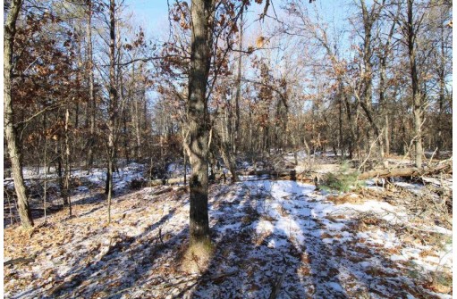 LOT 19 & 20 Siegler Ct, Necedah, WI 54646