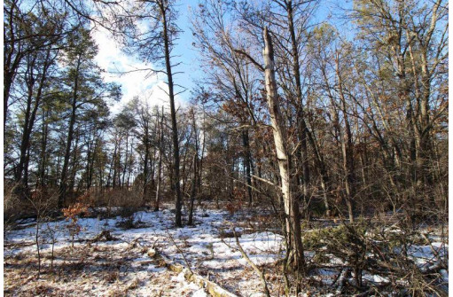 LOT 19 & 20 Siegler Ct, Necedah, WI 54646