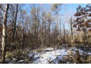 LOT 19 & 20 Siegler Ct, Necedah, WI 54646