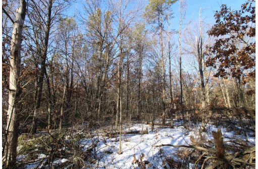 LOT 19 & 20 Siegler Ct, Necedah, WI 54646