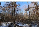 LOT 19 & 20 Siegler Ct, Necedah, WI 54646