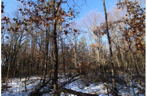 LOT 19 & 20 Siegler Ct, Necedah, WI 54646