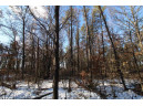 LOT 19 & 20 Siegler Ct, Necedah, WI 54646