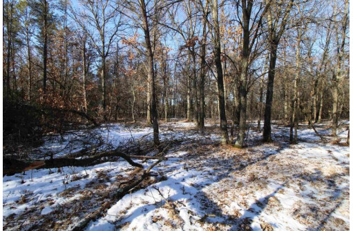 LOT 19 & 20 Siegler Ct, Necedah, WI 54646