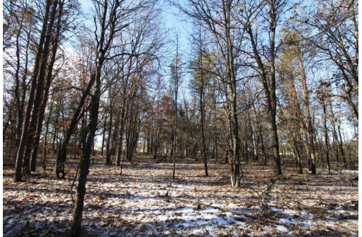 LOT 19 & 20 Siegler Ct, Necedah, WI 54646