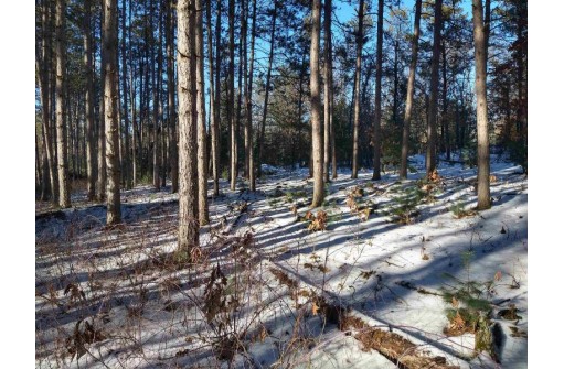 LOT 30 W 8th Ct, Wisconsin Dells, WI 53965