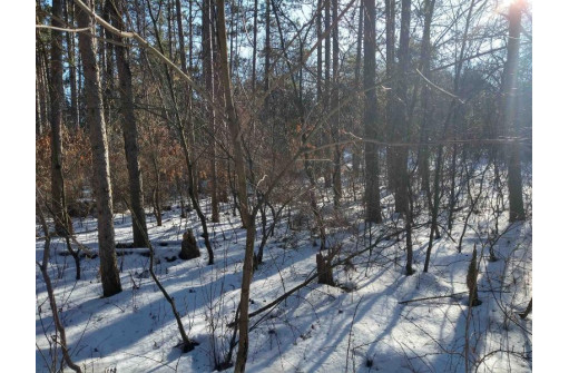 LOT 30 W 8th Ct, Wisconsin Dells, WI 53965