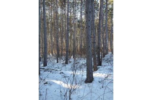 LOT 30 W 8th Ct, Wisconsin Dells, WI 53965