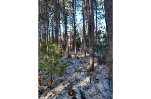 LOT 30 W 8th Ct, Wisconsin Dells, WI 53965