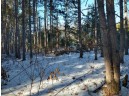 LOT 30 W 8th Ct, Wisconsin Dells, WI 53965