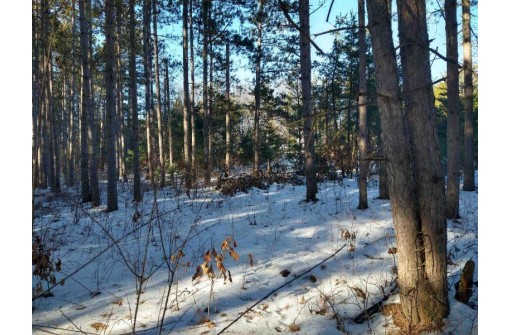 LOT 30 W 8th Ct, Wisconsin Dells, WI 53965