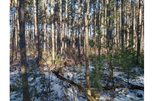 LOT 30 W 8th Ct, Wisconsin Dells, WI 53965