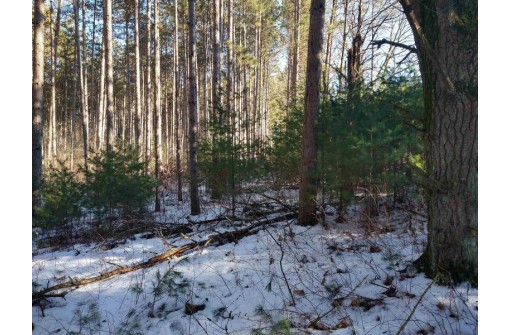 LOT 30 W 8th Ct, Wisconsin Dells, WI 53965