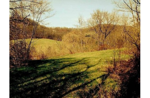 Morris Valley Rd, Richland Center, WI 53581