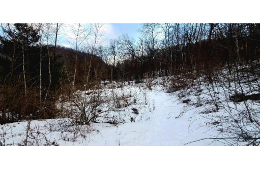 Morris Valley Rd, Richland Center, WI 53581